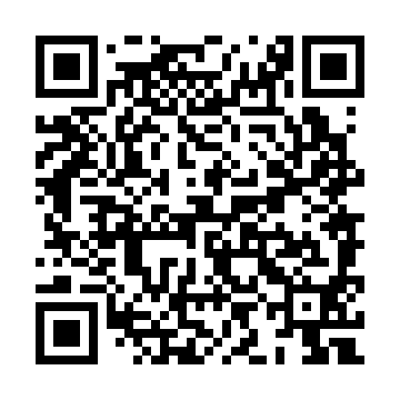 QR code for XIN390