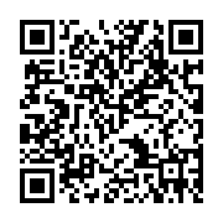 QR code for XIN950