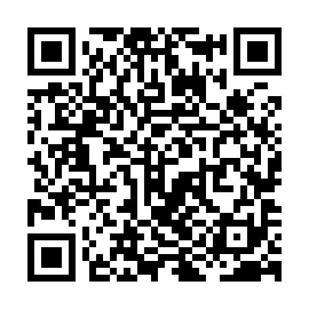 QR code for XIN991
