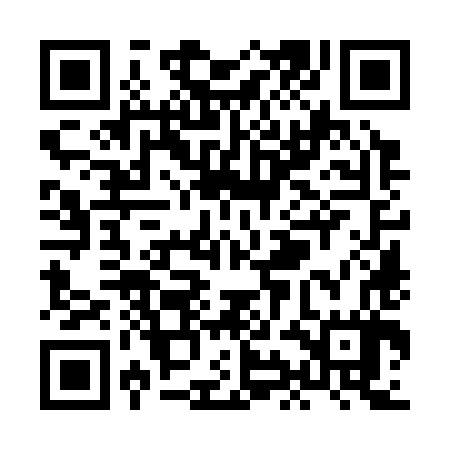 QR code for XIO387