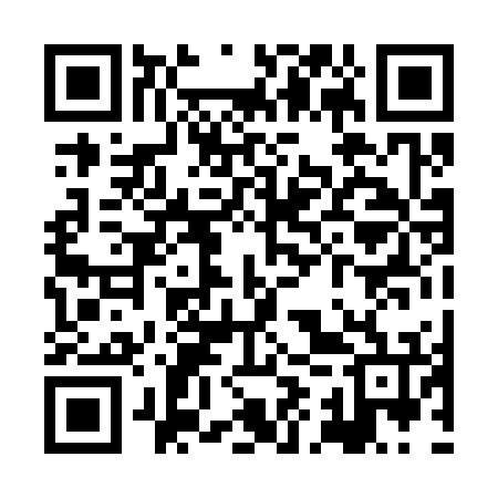 QR code for XIP376