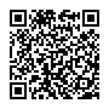 QR code for XIP419