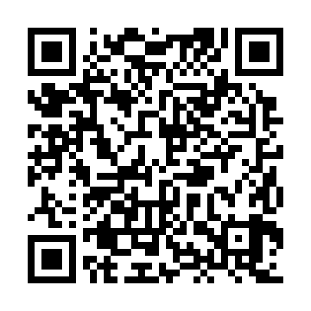 QR code for XIR389