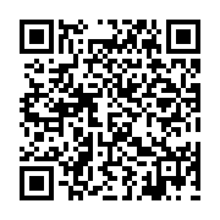 QR code for XIX252