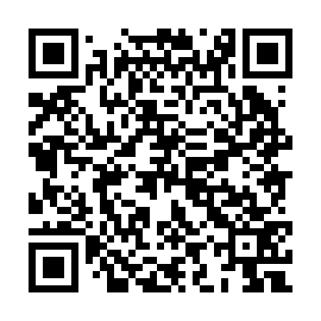 QR code for XIX273
