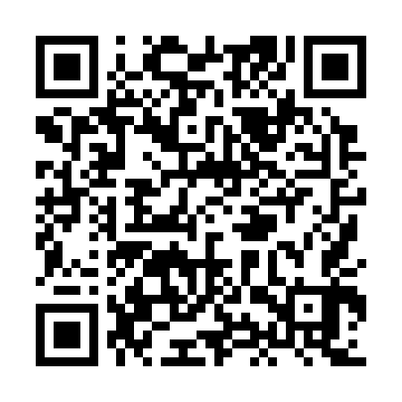 QR code for XIX343