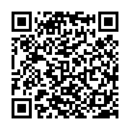 QR code for XIX431