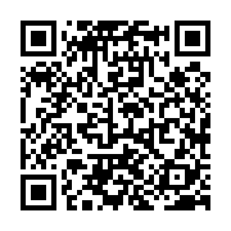 QR code for XIX528