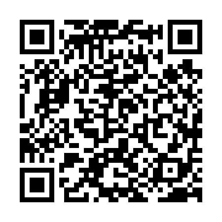QR code for XIX618