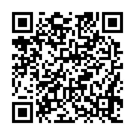 QR code for XIZ376
