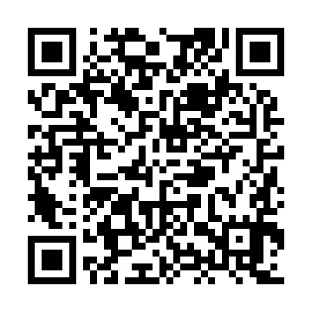 QR code for XIZ995