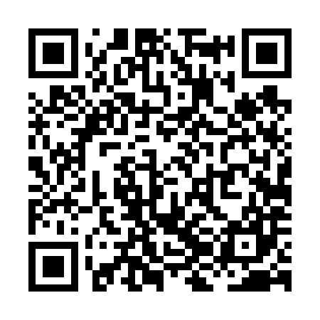 QR code for XJD687