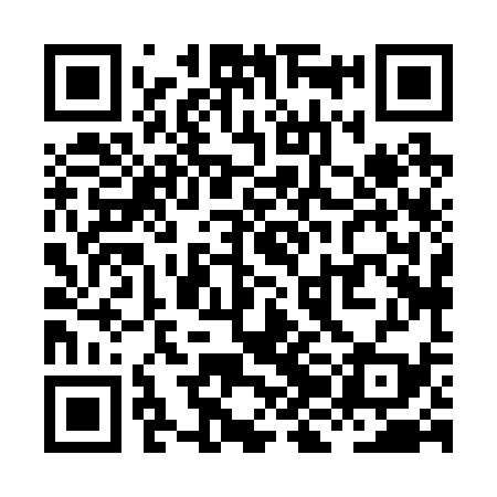QR code for XJH239