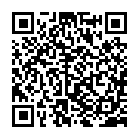 QR code for XJH295