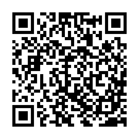 QR code for XJH387