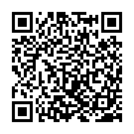 QR code for XJI203