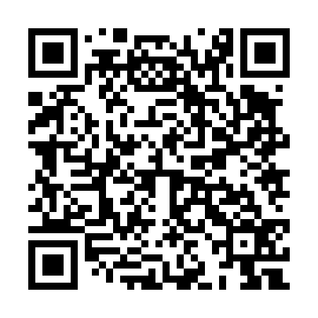 QR code for XJJ436