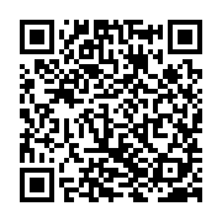 QR code for XJK389