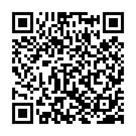 QR code for XJN411