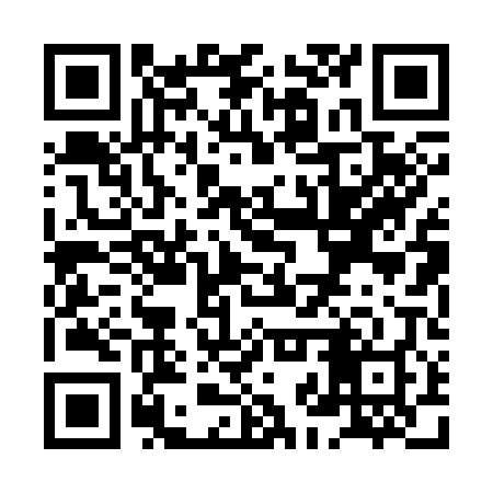 QR code for XJP308
