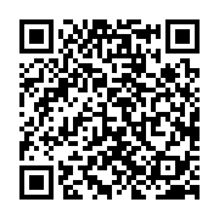 QR code for XJP339