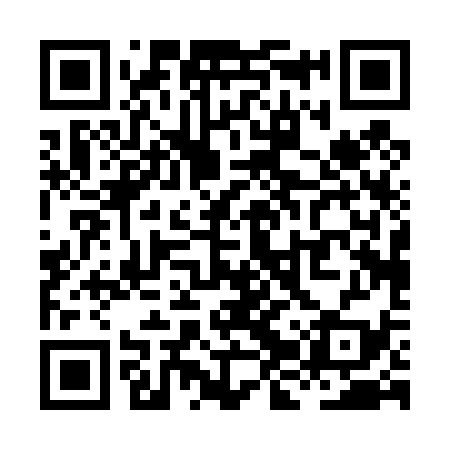 QR code for XJP439