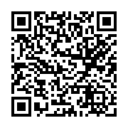 QR code for XJP953
