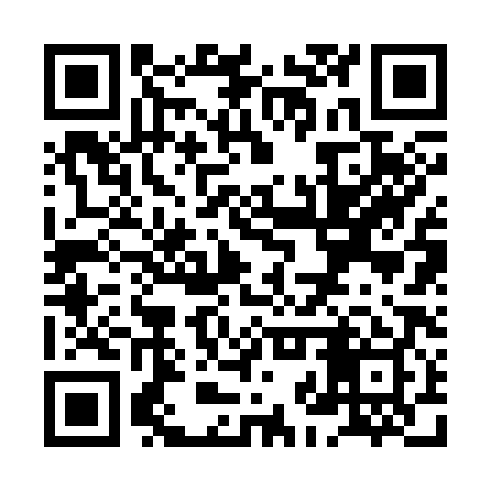 QR code for XJR389
