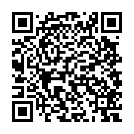 QR code for XJV009