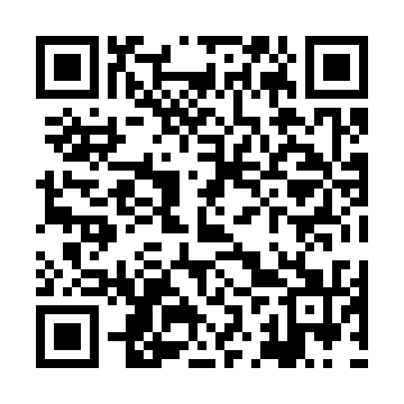 QR code for XJX331