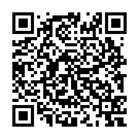 QR code for XKL335