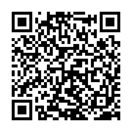 QR code for XKS393
