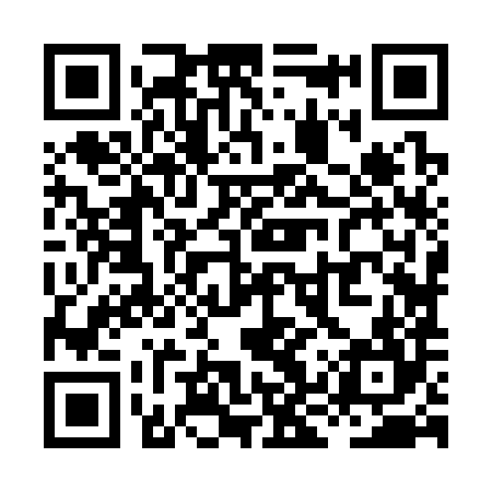 QR code for XKZ384