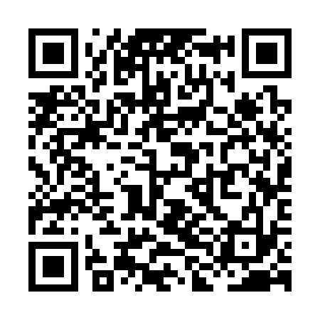 QR code for XLC333