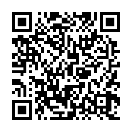 QR code for XLD368