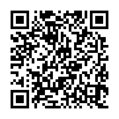 QR code for XLF383