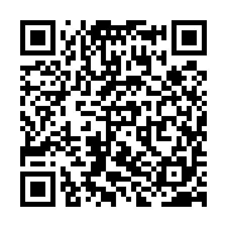 QR code for XLI595