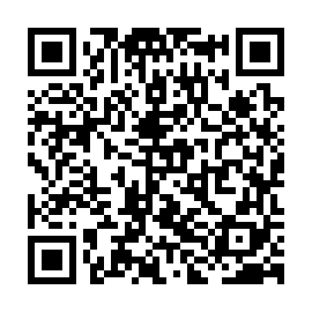 QR code for XLK368