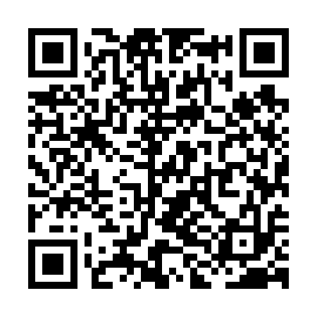 QR code for XLM613