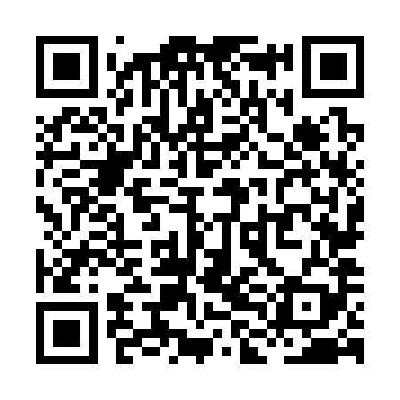 QR code for XLN389