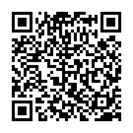 QR code for XLN511