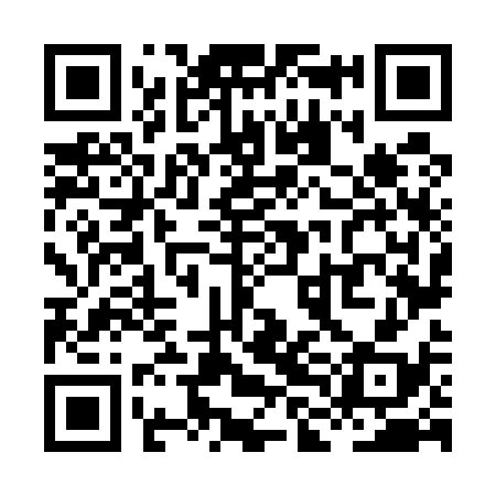 QR code for XLN538