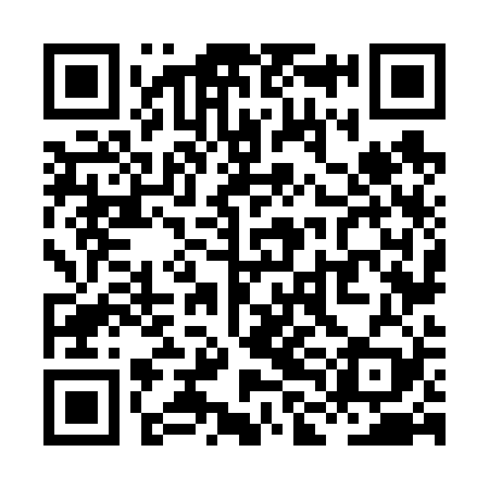 QR code for XLN629