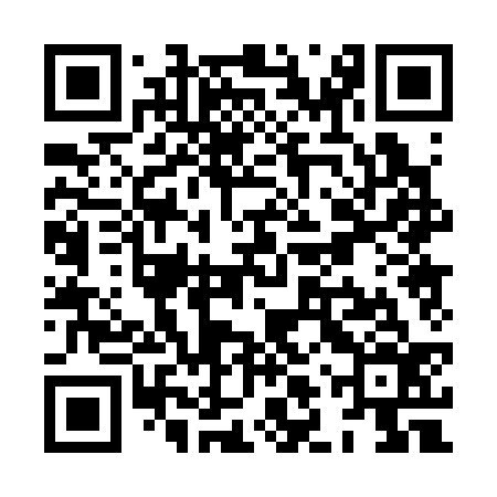 QR code for XLP336