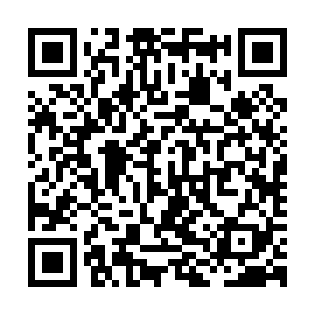 QR code for XLR029