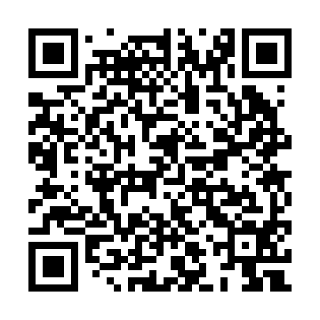 QR code for XLS294