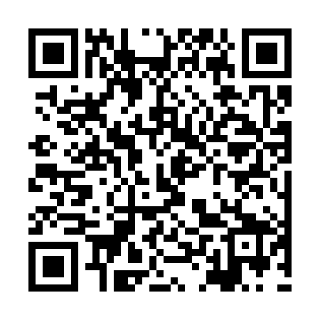 QR code for XLS389