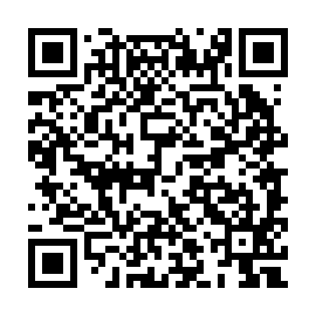 QR code for XLT295
