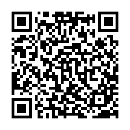 QR code for XLT387