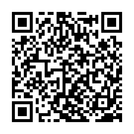 QR code for XMF313
